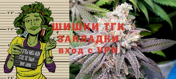 спиды Аркадак