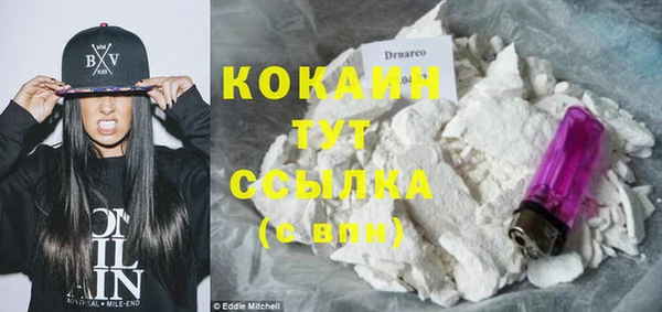 гидра Новозыбков