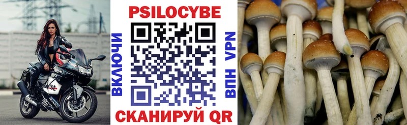 Галлюциногенные грибы MAGIC MUSHROOMS  Суровикино 